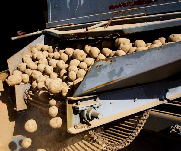 How to Find the Ideal Conveyor Chain for Your Production Line