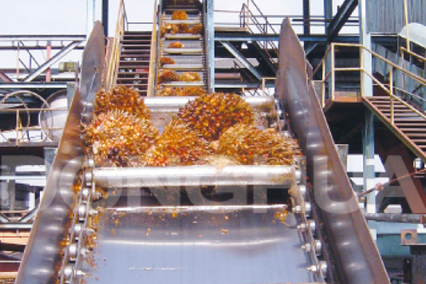 Palm Oil Industry