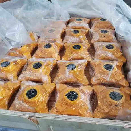 Pignons de cha&icirc;ne X458